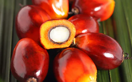 पेट से जुड़ी सभी प्रॉब्लम्स में यह फ्रूट पहुंचाएगा फायदा मिलेंगे कई सारे लाभ