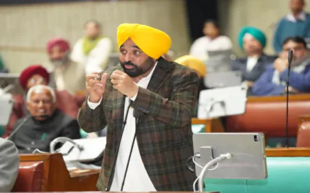 पंजाब में ‘युद्ध नशे के विरुद्ध’ अभियान का दूसरा चरण 5 जनवरी से, सरकार करेगी सख्त कार्रवाई