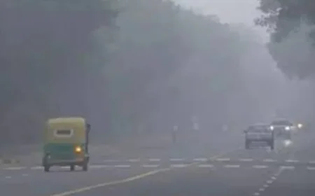 Punjab Weather Update: घना कोहरा, ठंडी हवाएं और बढ़ी ठिठुरन, कई इलाकों में हादसे