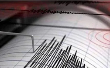 Earthquake in Palghar: महाराष्ट्र के पालघर में भूकंप के झटके, घरों से बाहर निकले लोग; जम्मू-कश्मीर में भी हिली धरती