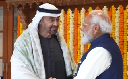 India-UAE News: $100 अरब के पार पहुँचा व्यापार, PM मोदी ने UAE राष्ट्रपति को तोहफे में दिया गुजरात का शाही 'झूला' और कश्मीरी केसर