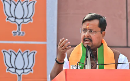 'नितिन नबीन के नेतृत्व में आएगी नई ऊर्जा', कर्नाटक भाजपा ने सबसे युवा अध्यक्ष का किया भव्य स्वागत; विजयेंद्र और बोम्मई ने दी बधाई