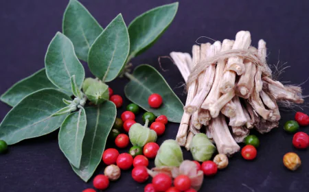 अश्वगंधा पाउडर के है कई सारे फायदे जाने खाने का तरीका और सावधानियां