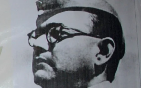 Parakram Diwas 2026: 'तुम मुझे खून दो, मैं तुम्हें आजादी दूंगा', नेताजी सुभाष चंद्र बोस की जयंती पर नमन; जानें आजाद हिंद सरकार का गौरवशाली इतिहास