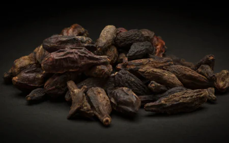 हरड़ करेगी डाइजेशन से इम्युनिटी तक हर प्रॉब्लम का सॉल्यूशन जानें फायदे