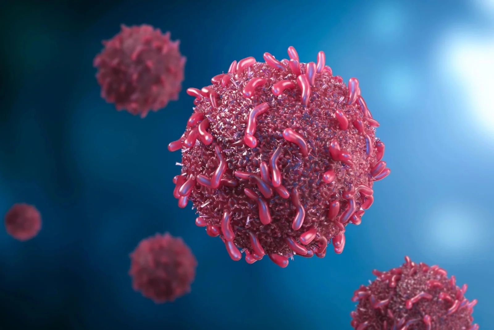 News Tv India Official 