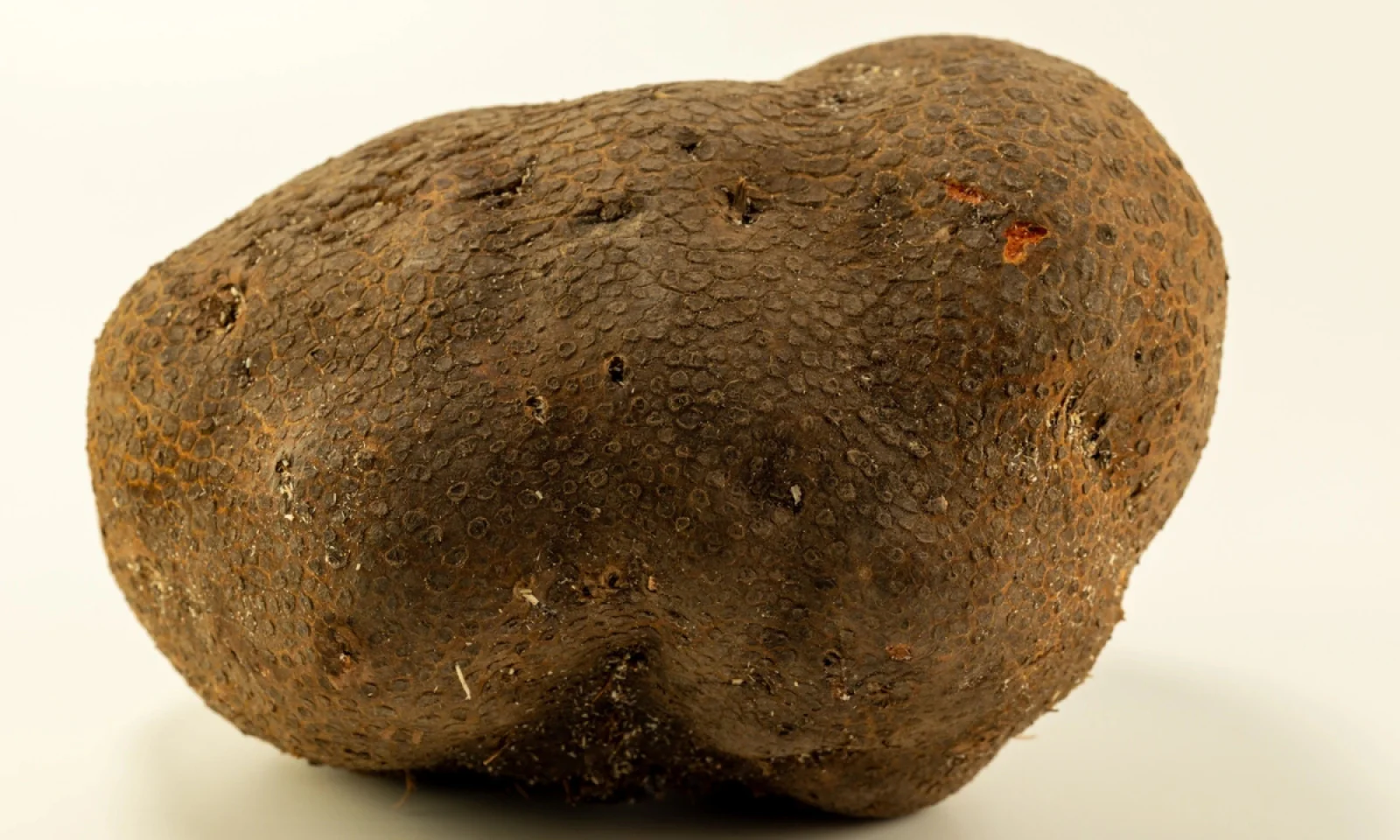 News Tv India Official 