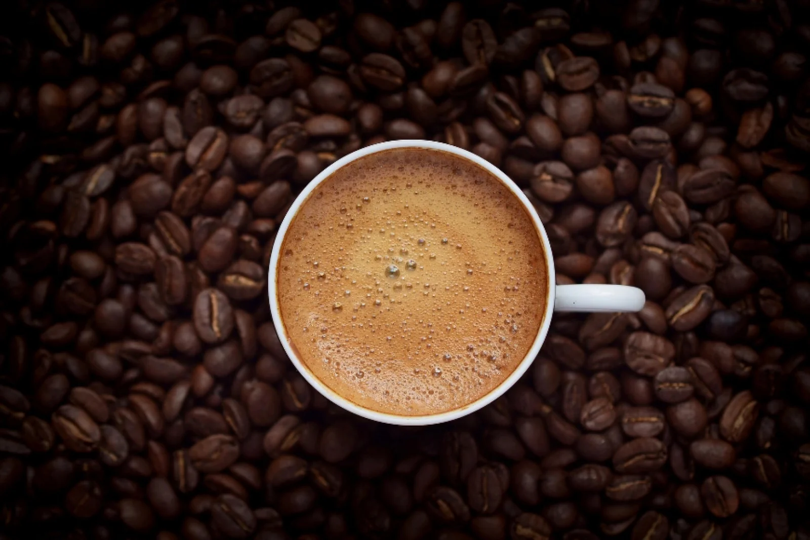 News Tv India Official 