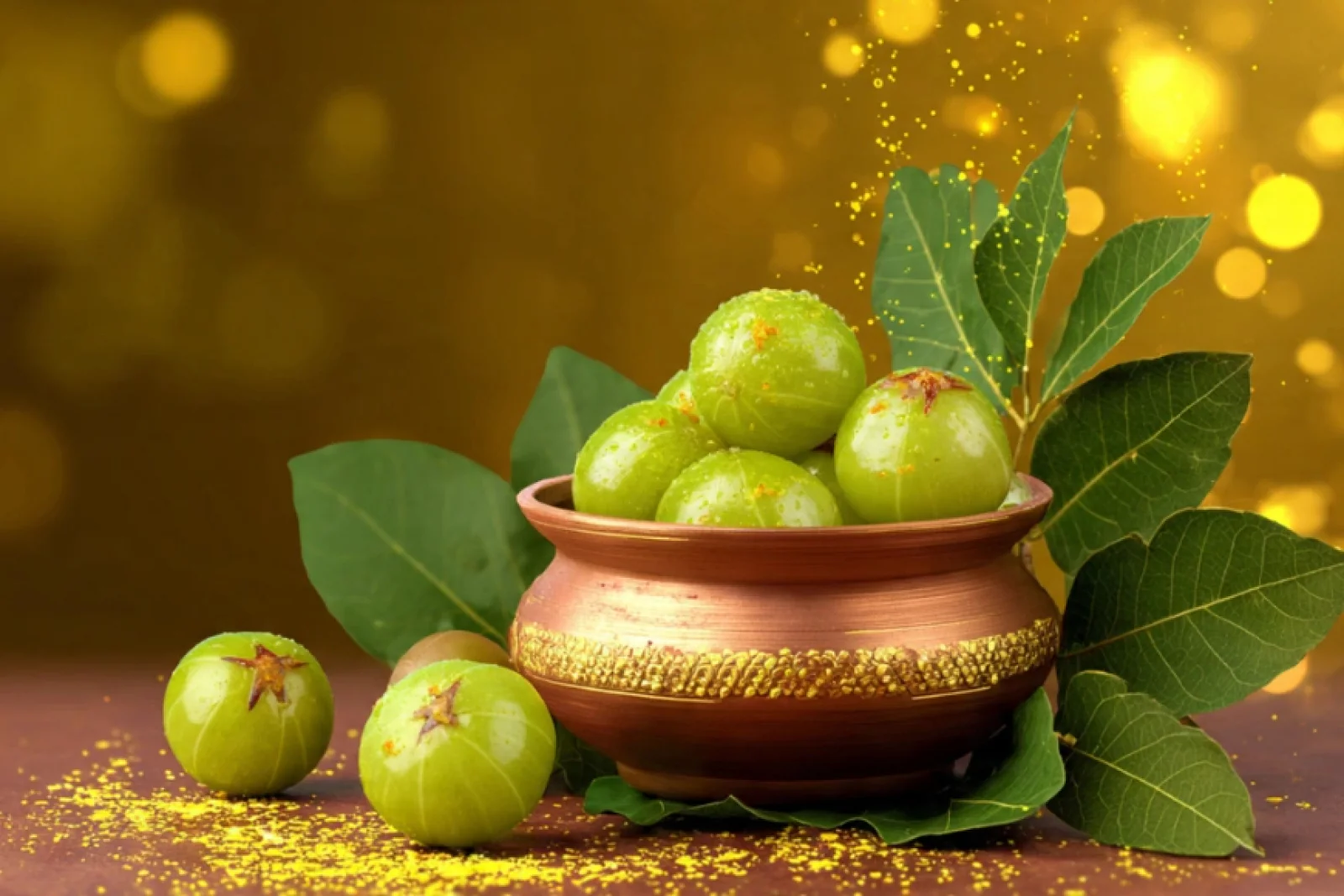 News Tv India Official 