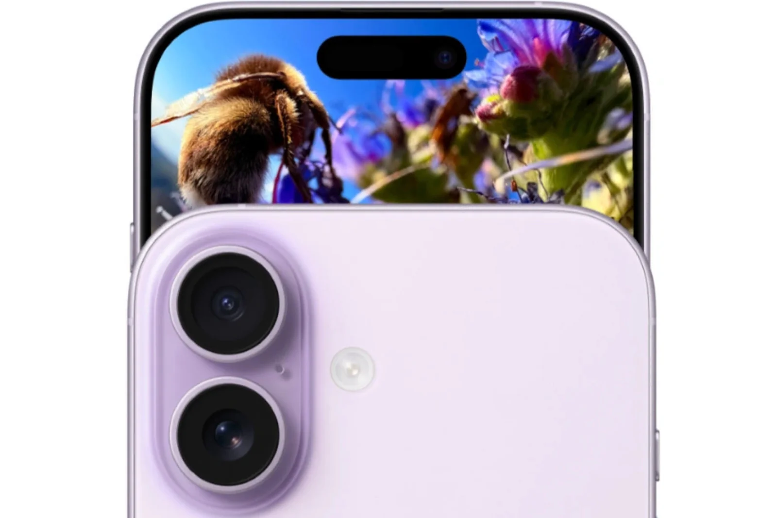 Apple Official Website 