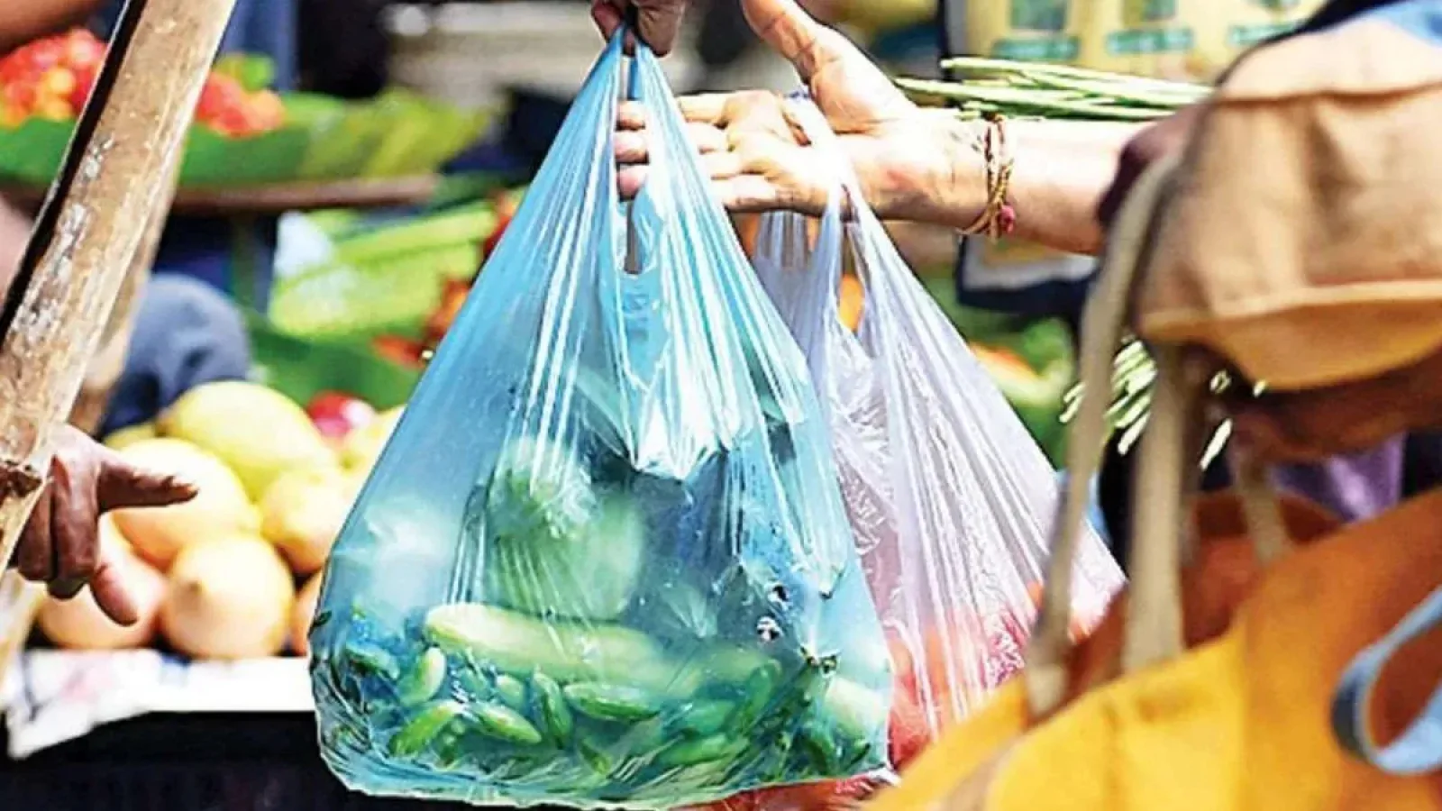 चंडीगढ़ मनीमाजरा में बड़ी कार्रवाई: प्रतिबंधित प्लास्टिक इस्तेमाल करने वाले 13 दुकानदारों के कटे चालान