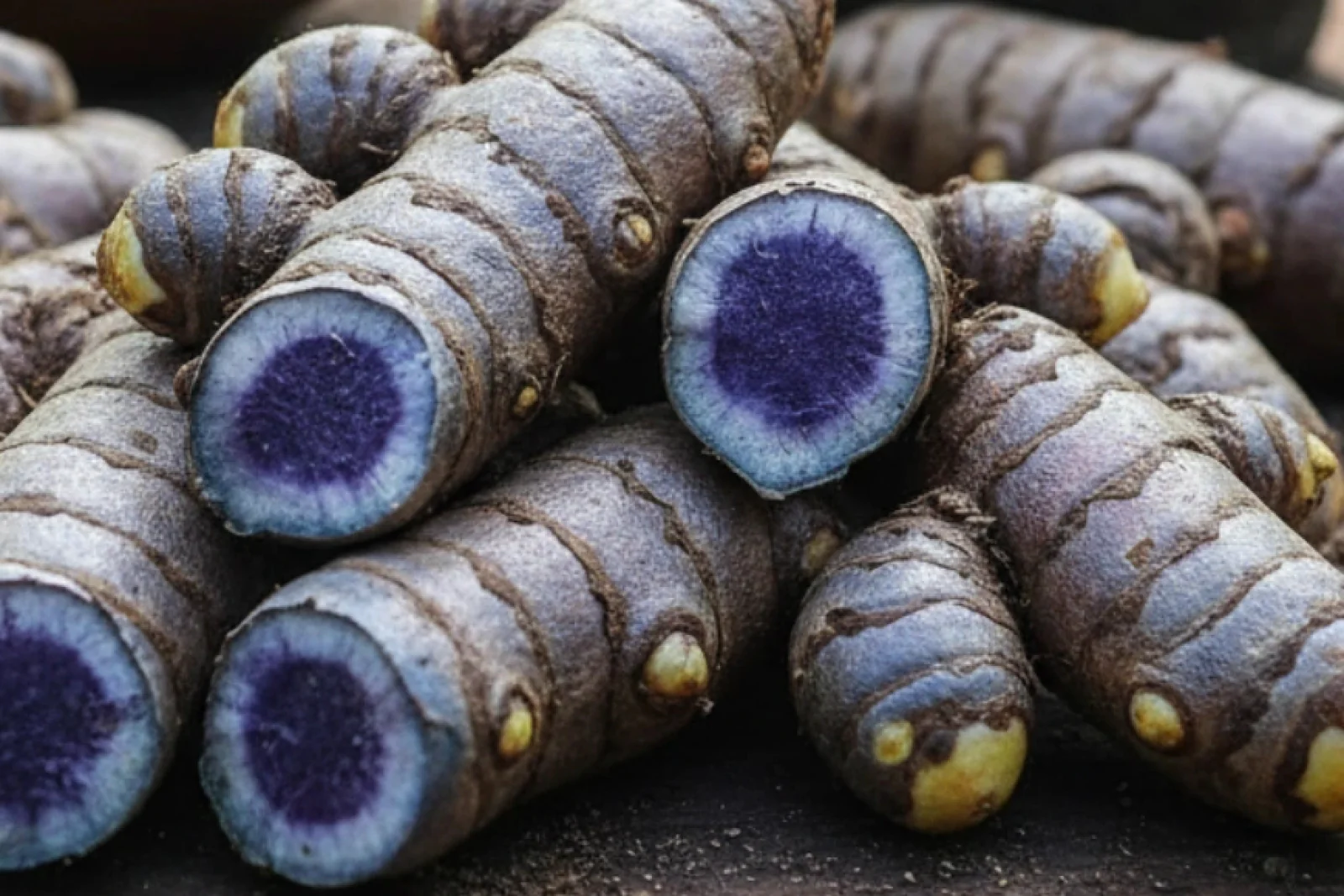 नीली हल्दी के गुण और यूज सुन उड़ जाएंगे आपके होश जानें इसके सभी फायदे