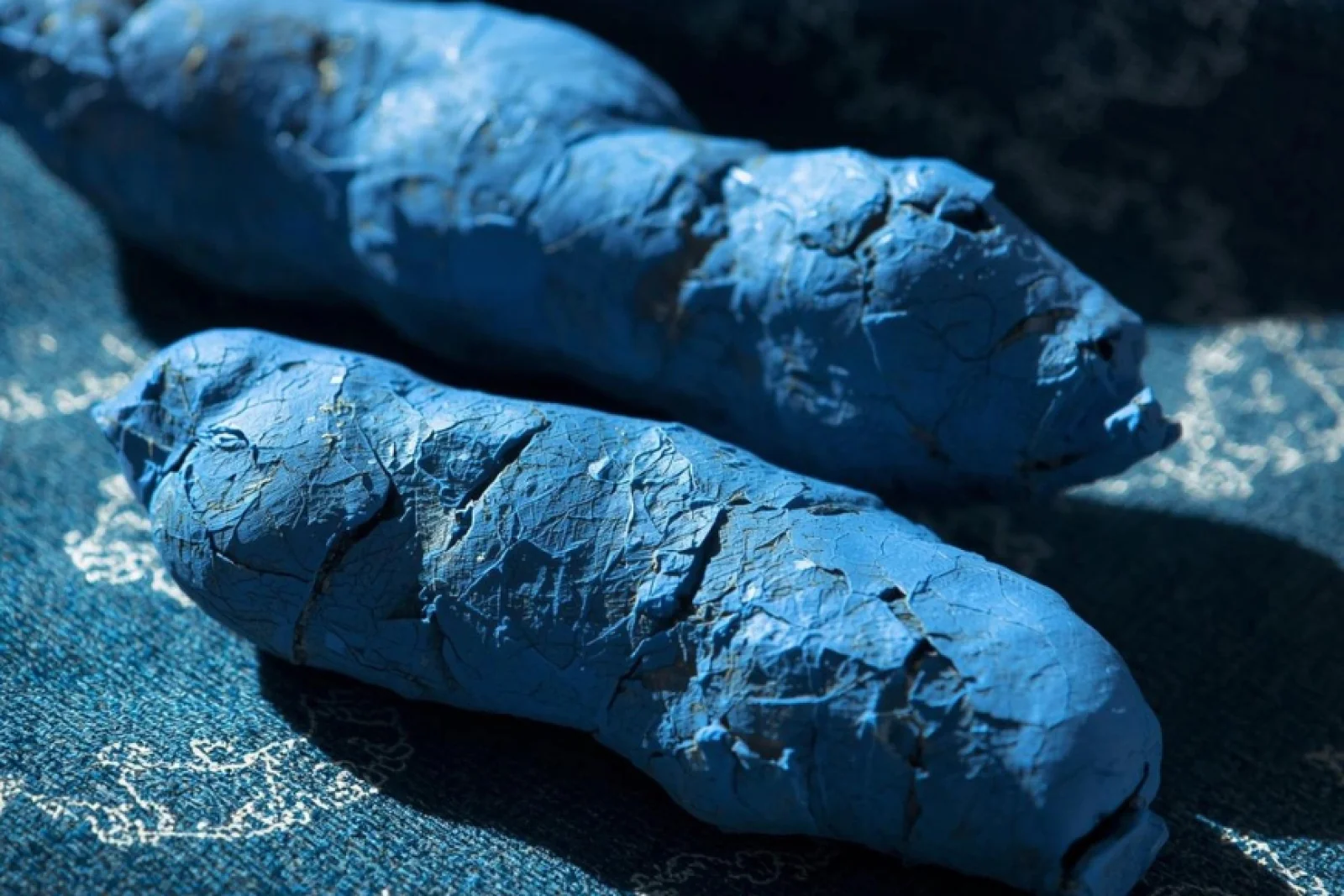 News Tv India Official 