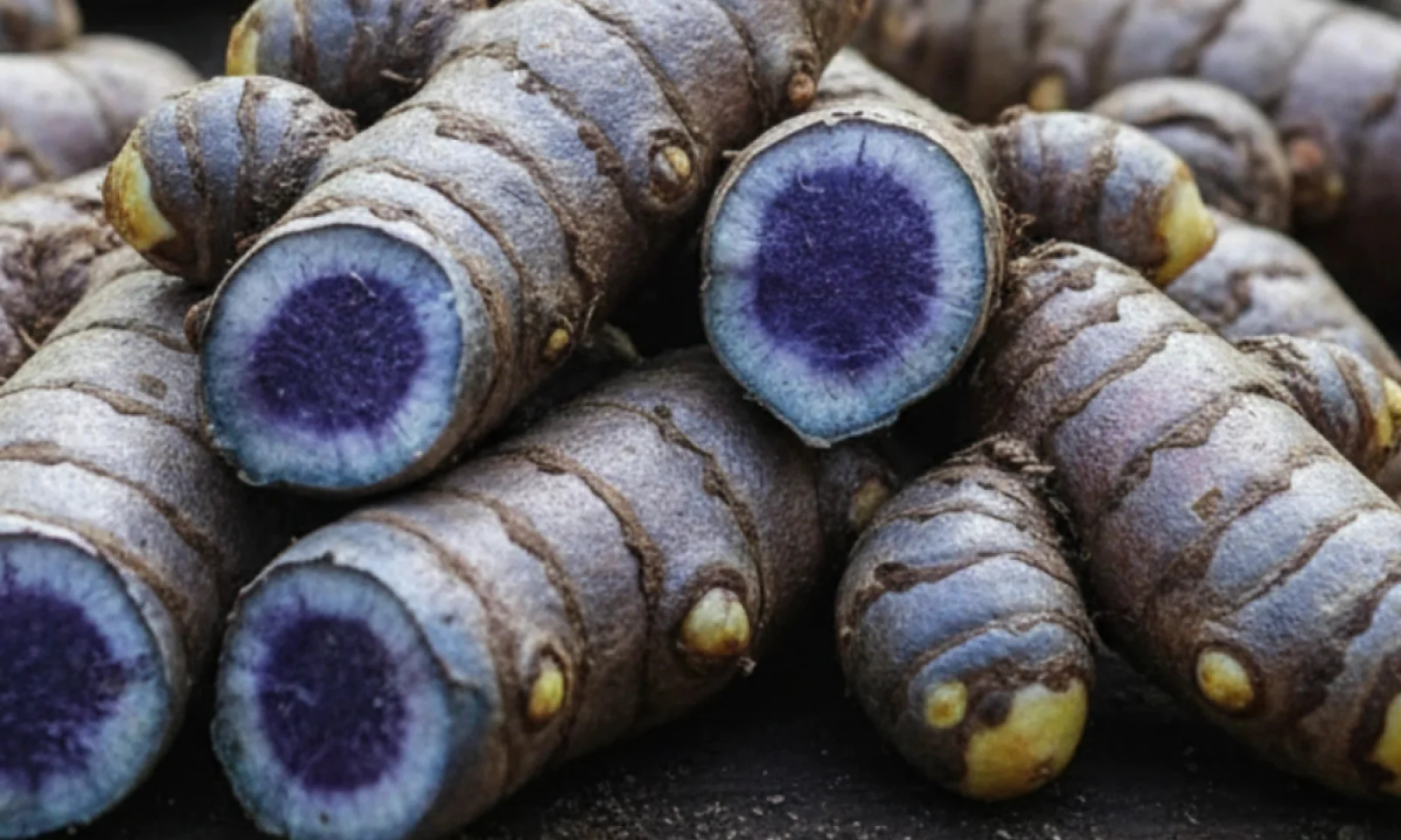 News Tv India Official 