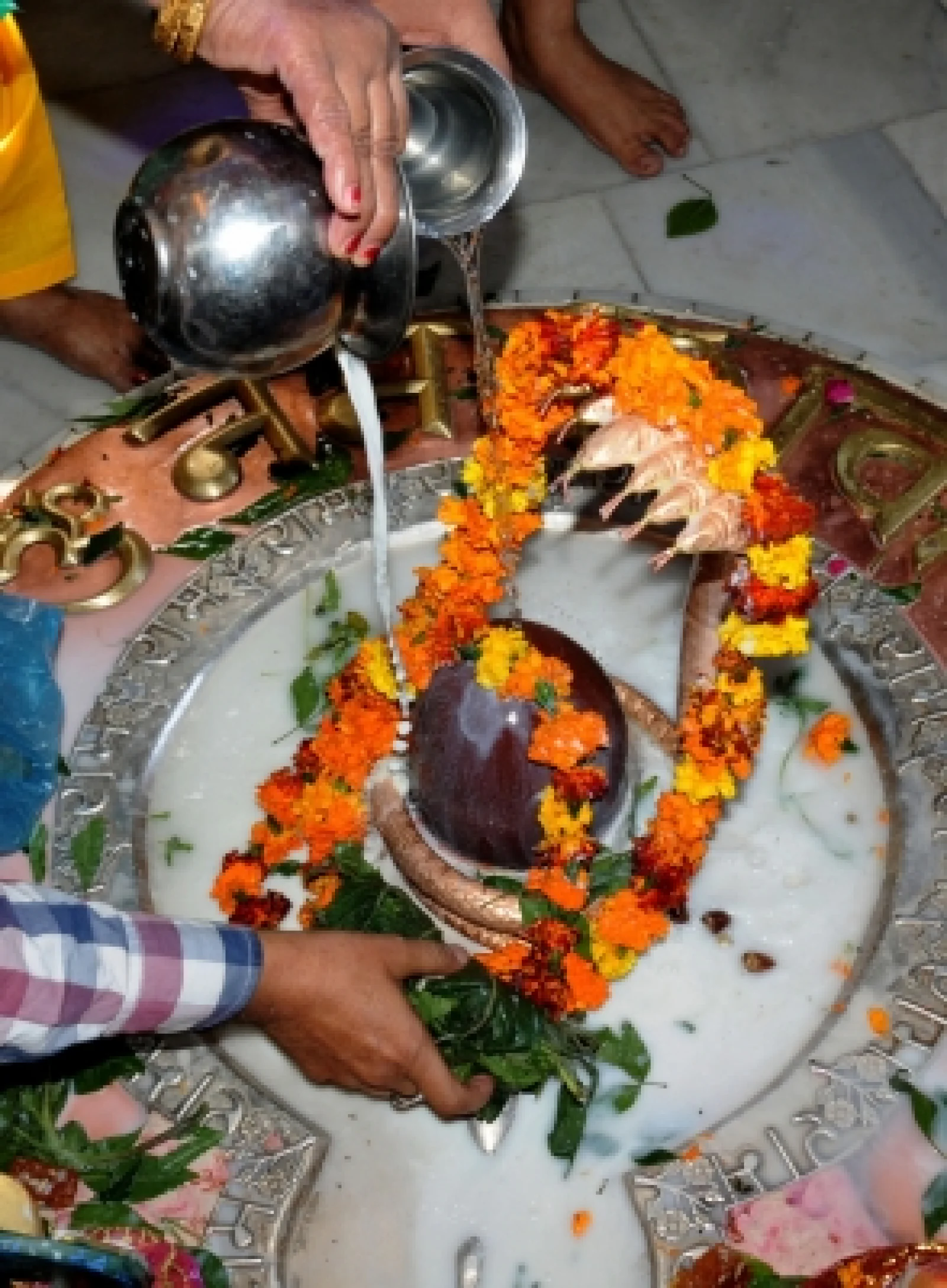 महाशिवरात्रि पर भक्ति के रंग में रंगा देश, नेताओं ने दीं भावपूर्ण शुभकामनाएं