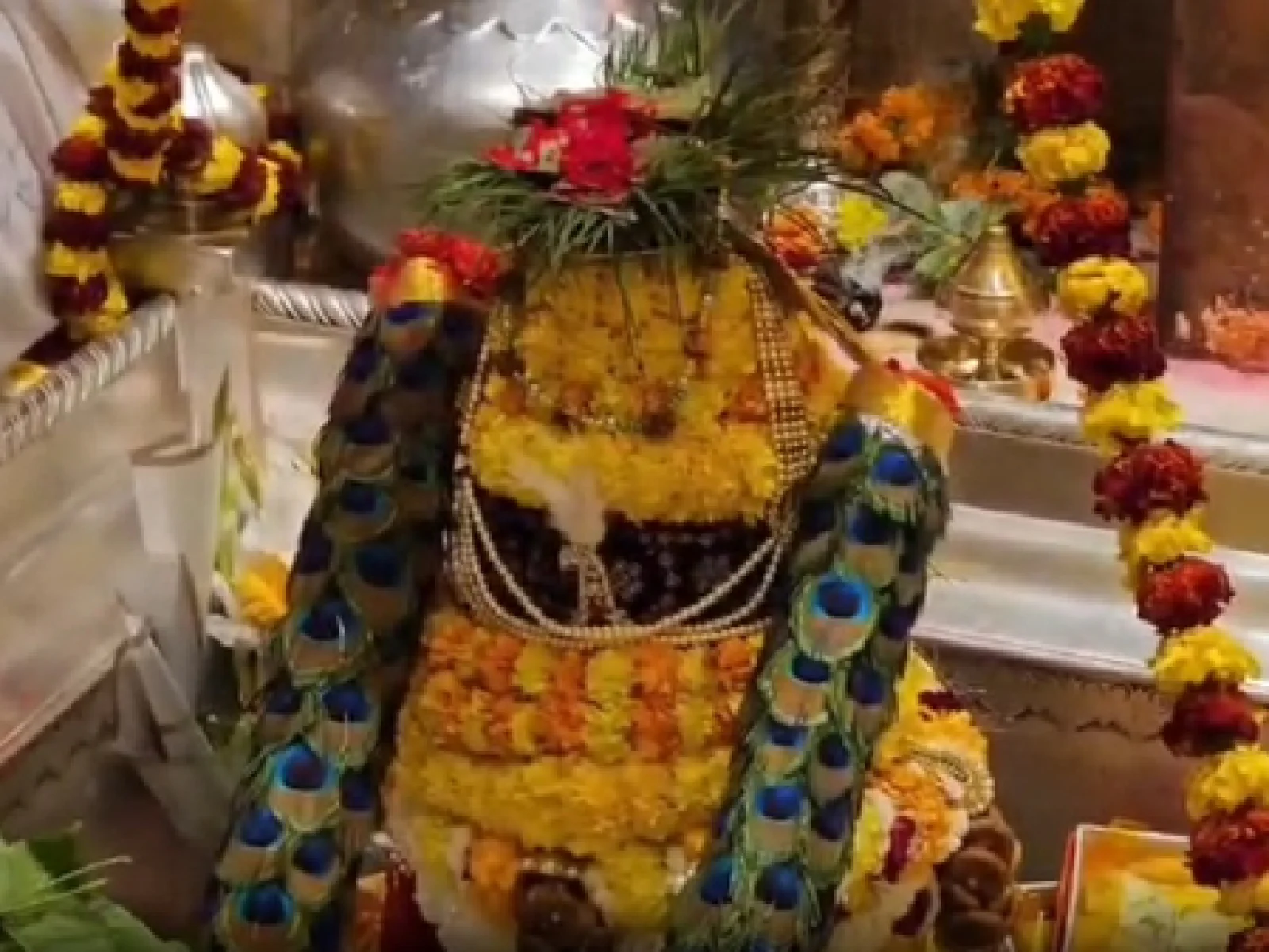 काशी में शिवरात्रि का उल्लास: बाबा विश्वनाथ का मोरपंख श्रृंगार देख मंत्रमुग्ध हुए भक्त; अब तक 40 हजार ने टेका मत्था