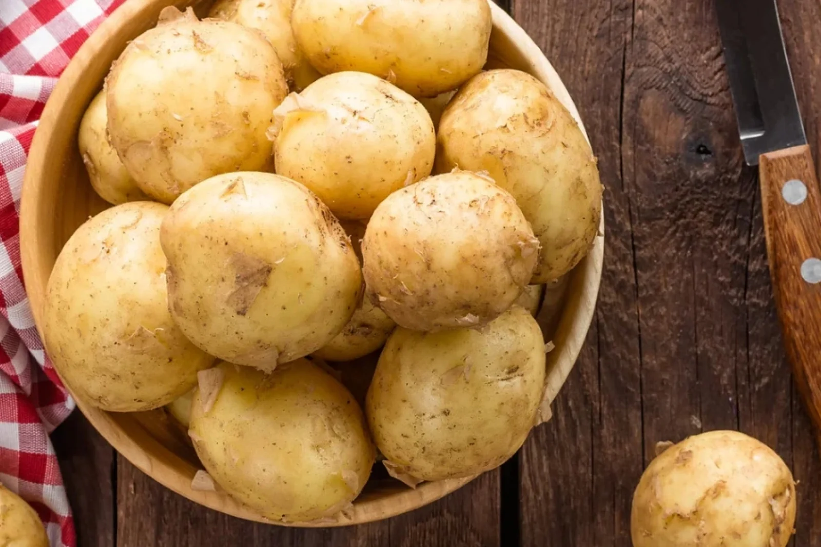 News Tv India Official 