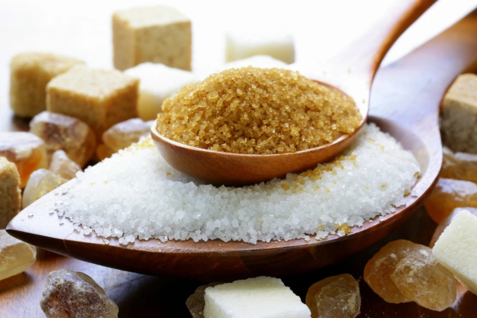 News Tv India Official 