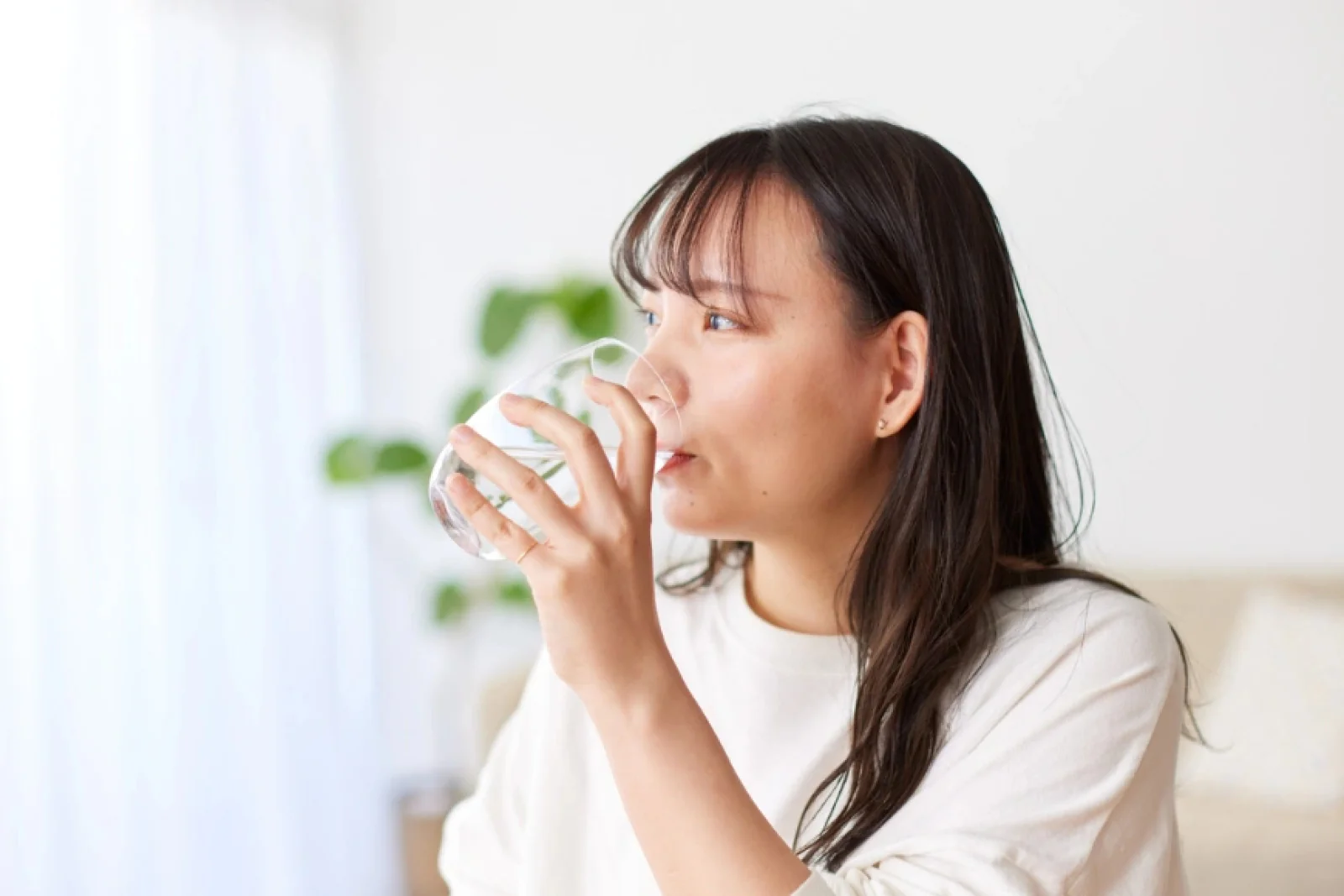 News Tv India Official 