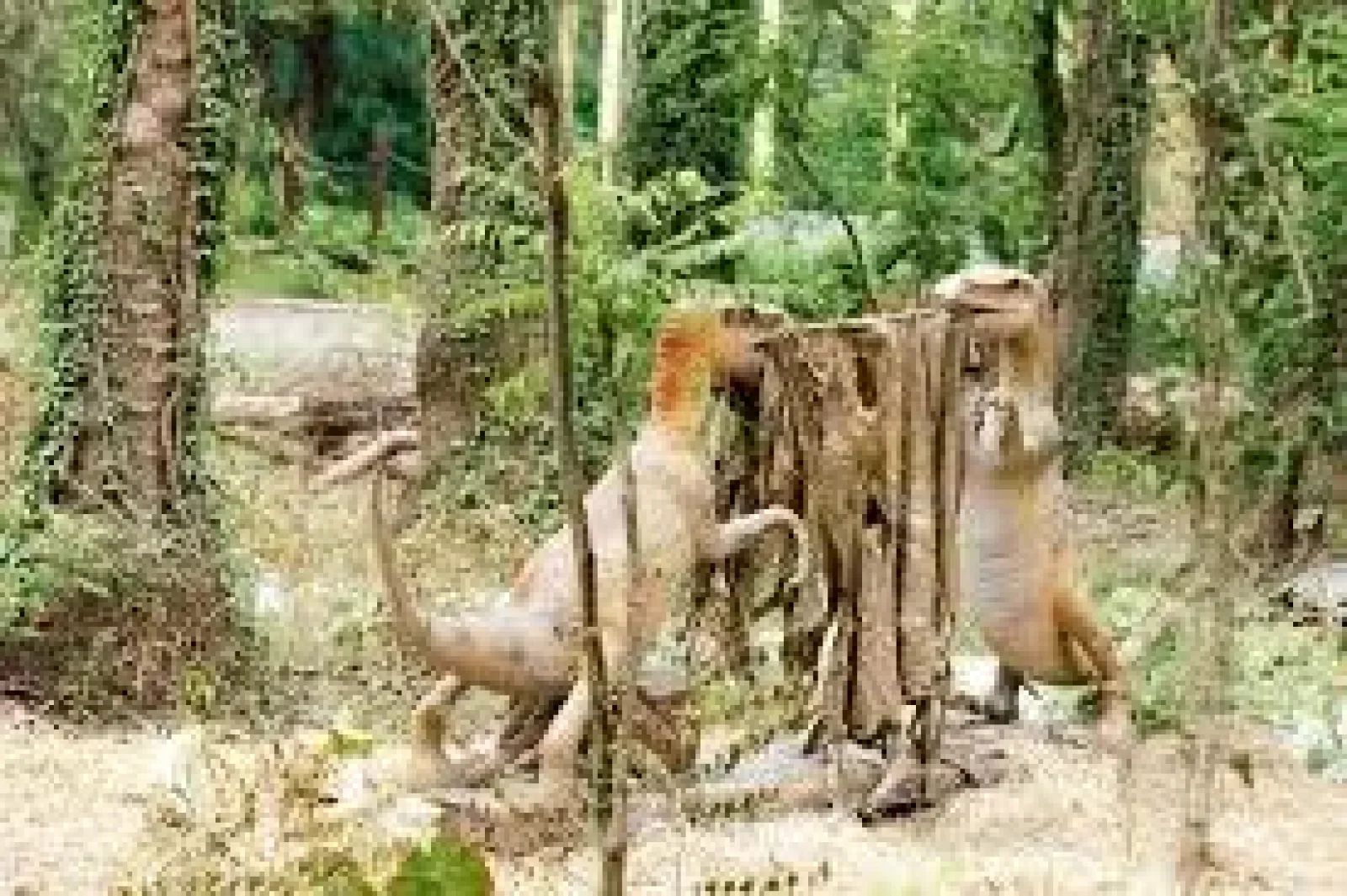 छत्तबीड़ चिड़ियाघर में सैलानियों का रिकॉर्ड: 2 महीने में पहुंचे 80 हजार से ज्यादा लोग, जानें क्या है नया आकर्षण?