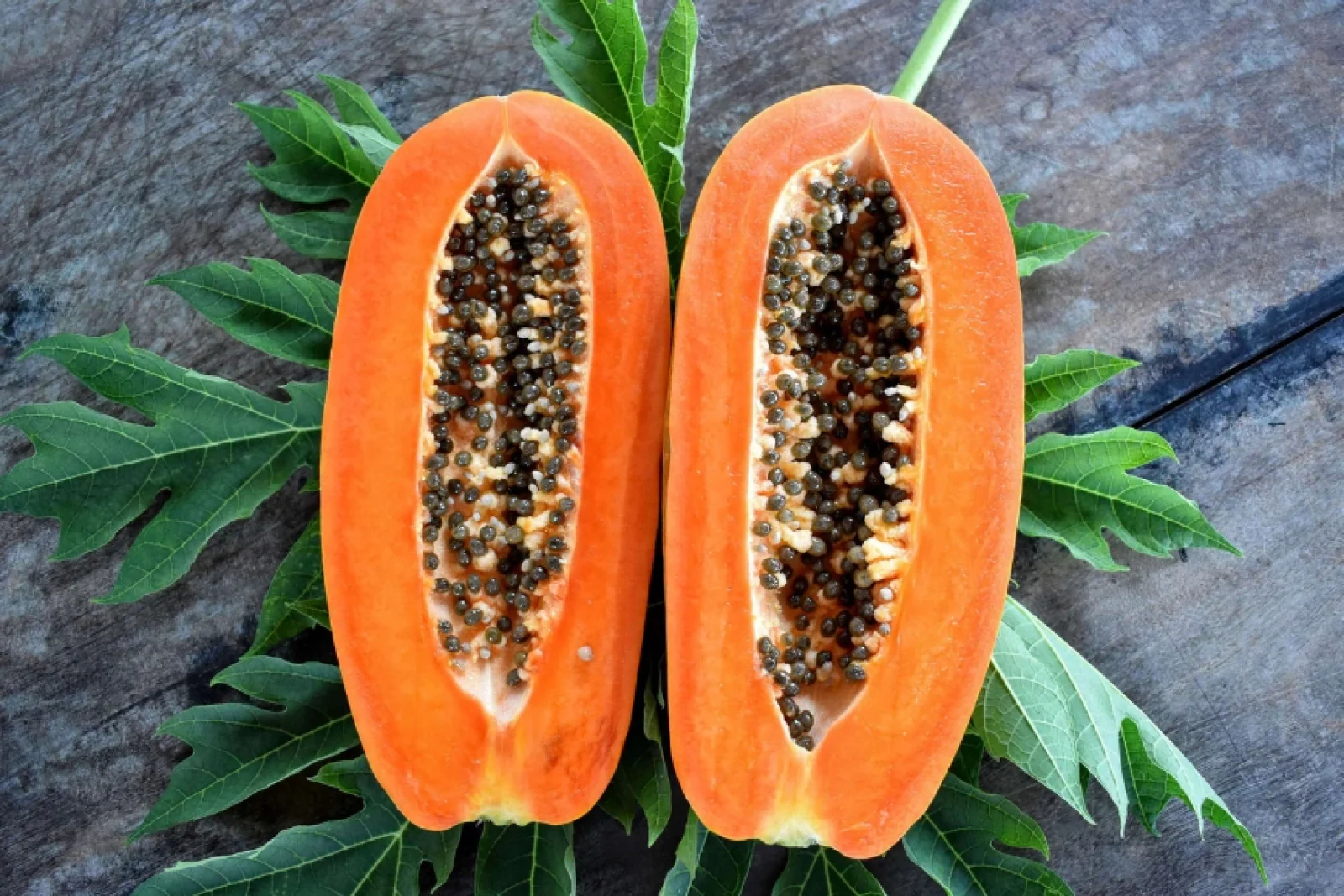 News Tv India Official 