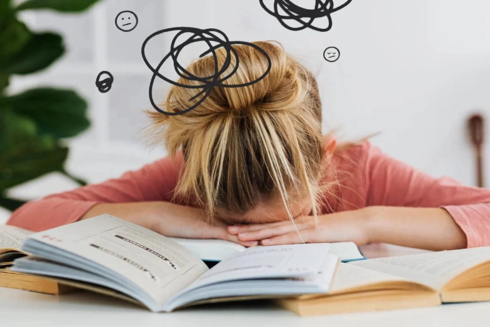 News Tv India Official 