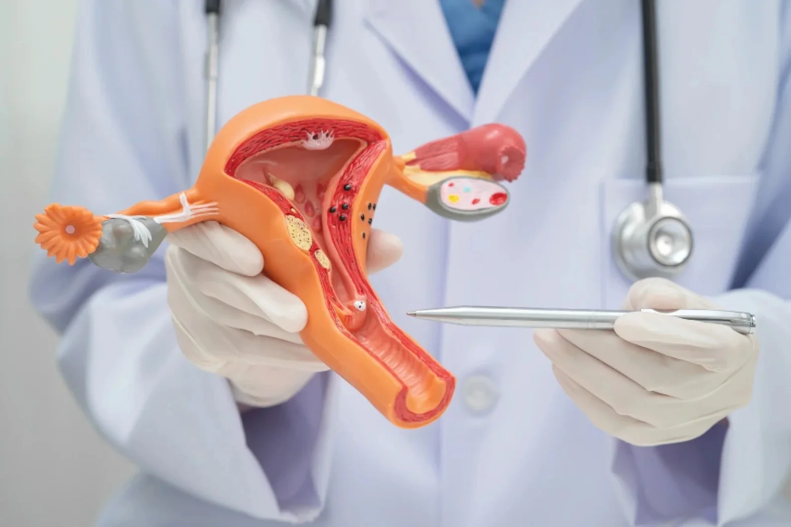 News Tv India Official 