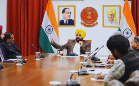 IPL की तर्ज पर अब पंजाब में मचेगा धमाल: भगवंत मान सरकार ने 'पंजाब क्रिकेट लीग' को दी मंजूरी