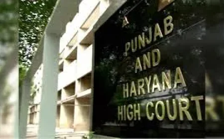 पंजाब-हरियाणा हाईकोर्ट ने कहा, बिना वैध तलाक दूसरा विवाह कानूनी नहीं; 498A के तहत कार्रवाई अमान्य