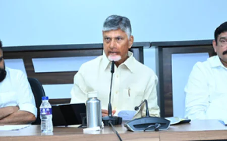 आंध्र प्रदेश में 'गुजरात फॉर्मूला': एक-दो नहीं, दशकों तक राज करना चाहती है NDA; सीएम नायडू ने दिया जीत का मंत्र