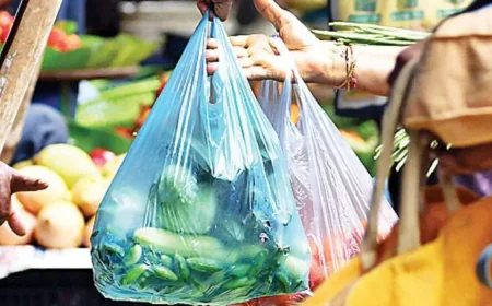 चंडीगढ़ मनीमाजरा में बड़ी कार्रवाई: प्रतिबंधित प्लास्टिक इस्तेमाल करने वाले 13 दुकानदारों के कटे चालान