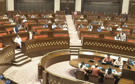 राज्यसभा में उठी 'UMANG' की मांग: डेरेक ओ'ब्रायन ने श्रमिकों के लिए माँगा यूनिवर्सल मिनिमम वेज; संजय सिंह ने 'अग्निवीर' को बताया युवाओं से धोखा