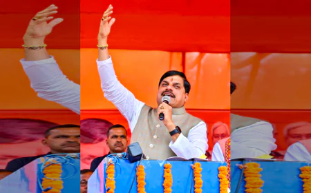 मुख्यमंत्री मोहन यादव का बड़ा बयान: 'प्रोजेक्ट चीता' से मध्य प्रदेश को मिली दुनिया भर में नई पहचान।
