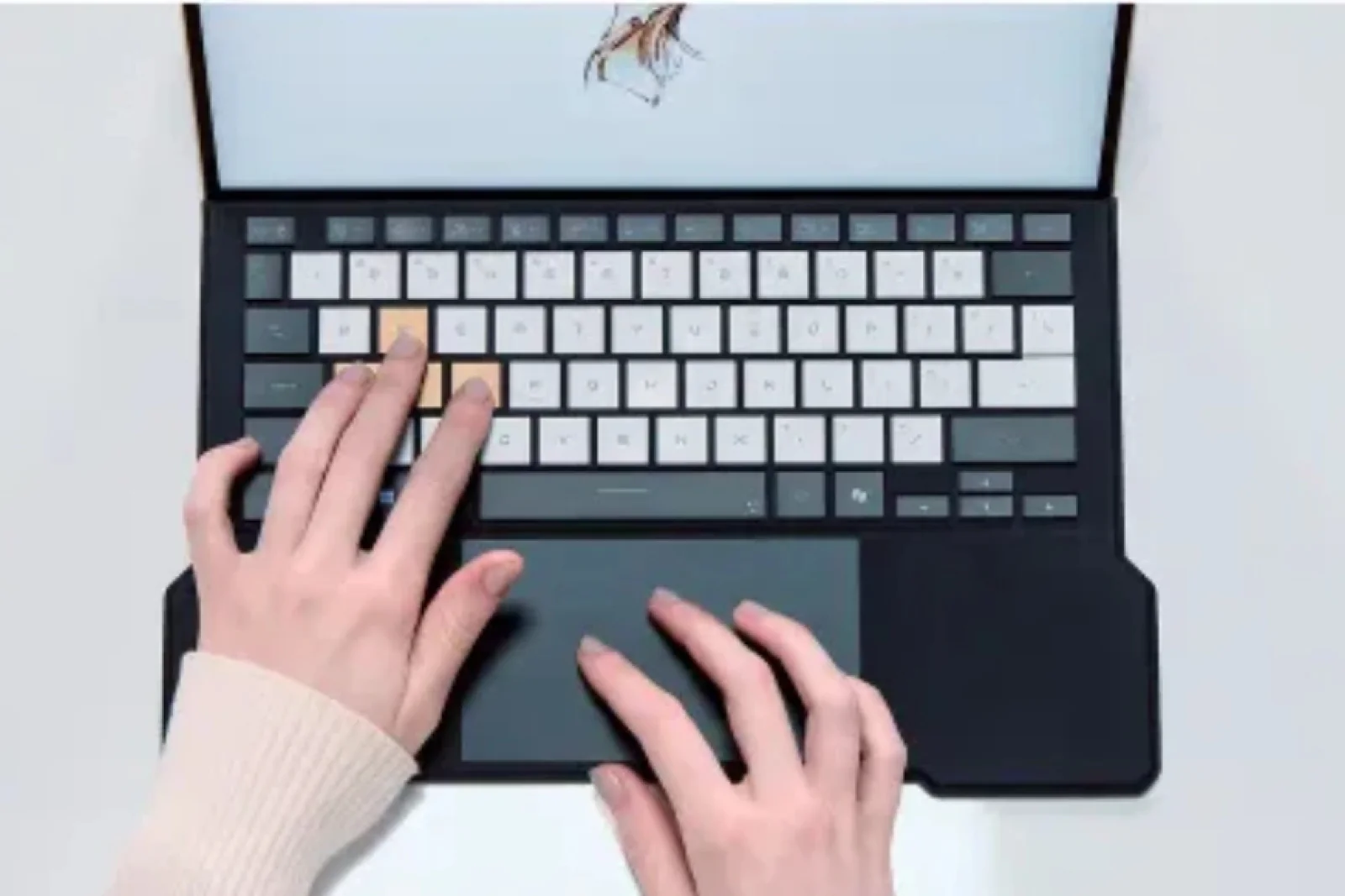 ROG Asus Official Website 