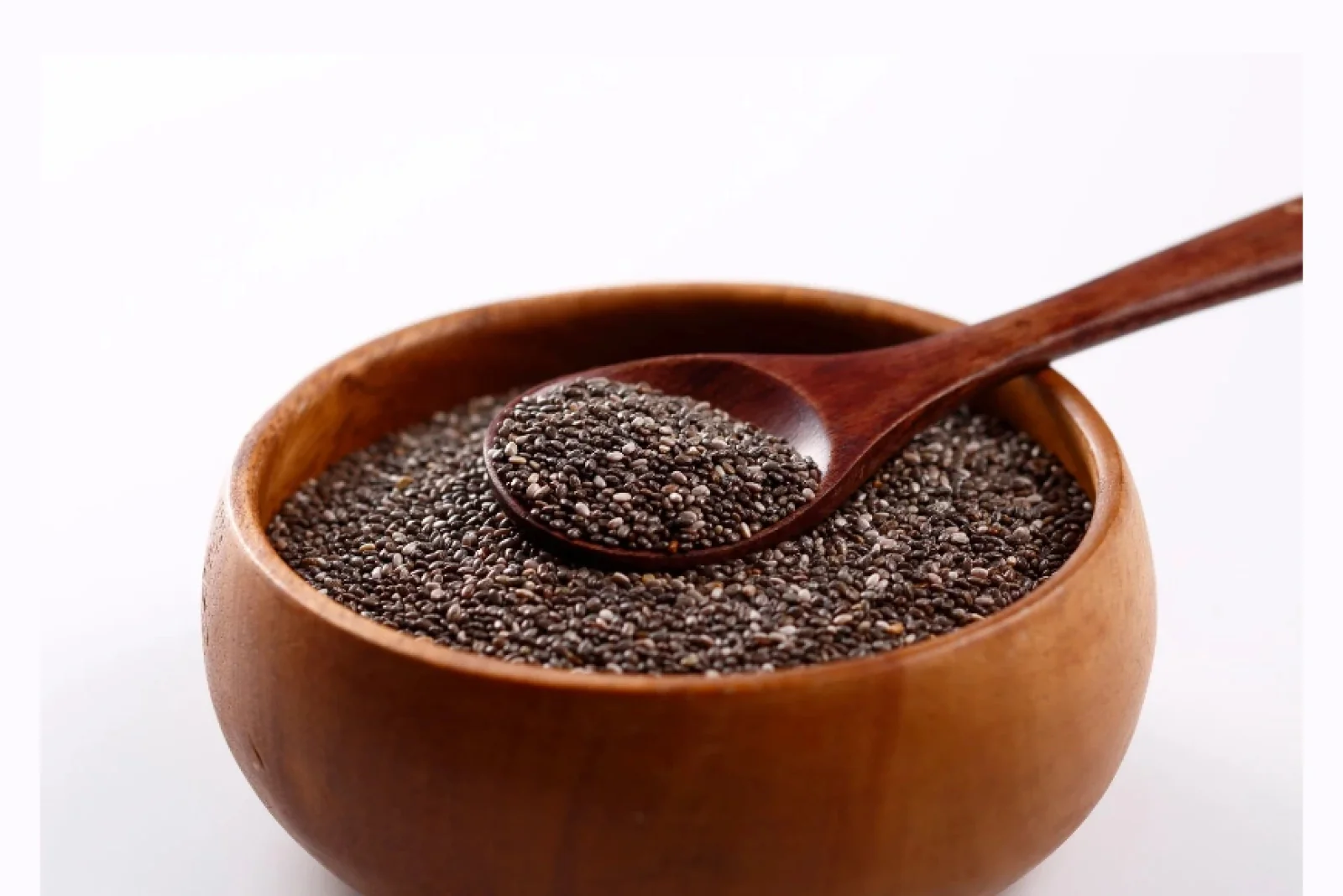 News Tv India Official 