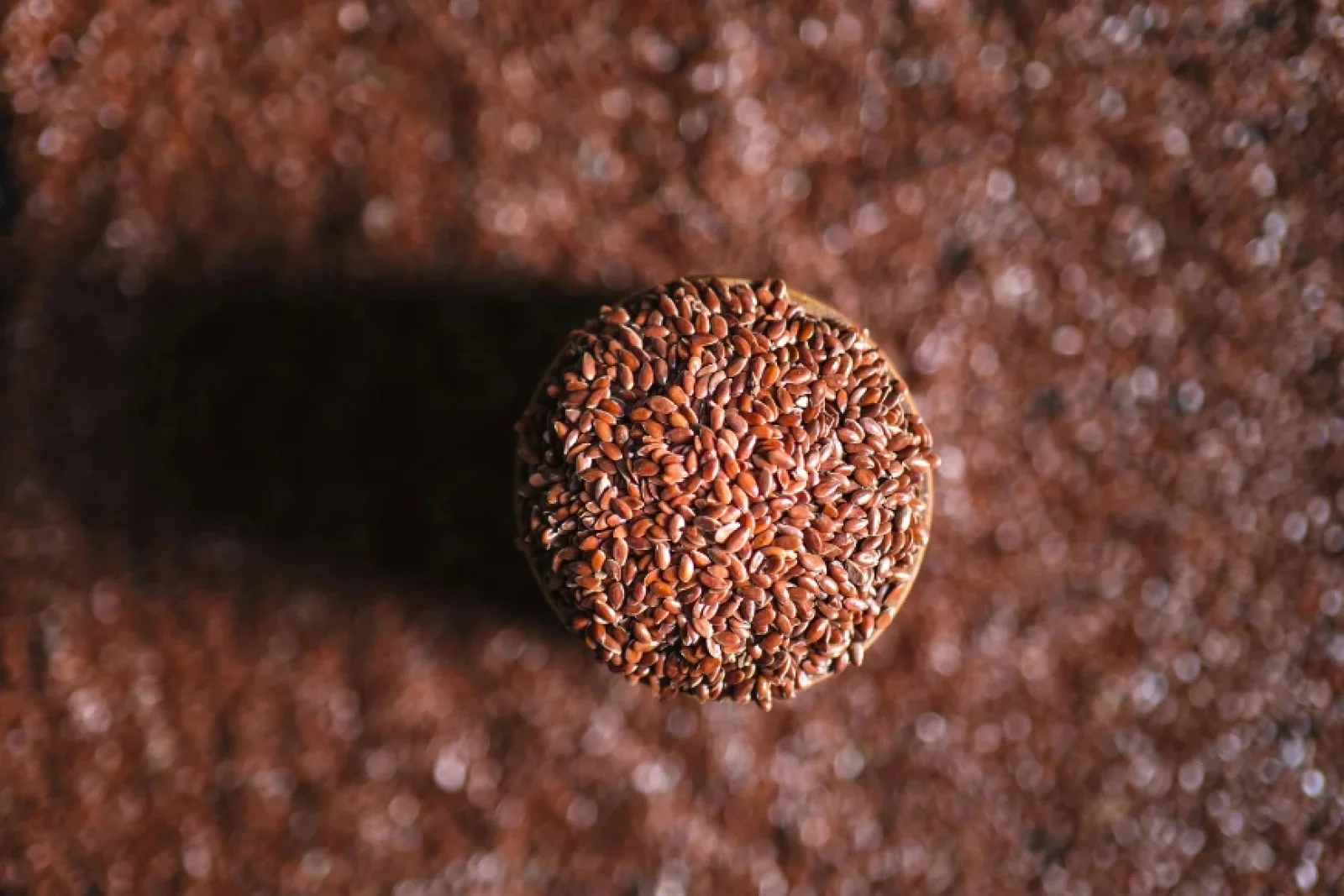 News Tv India Official 