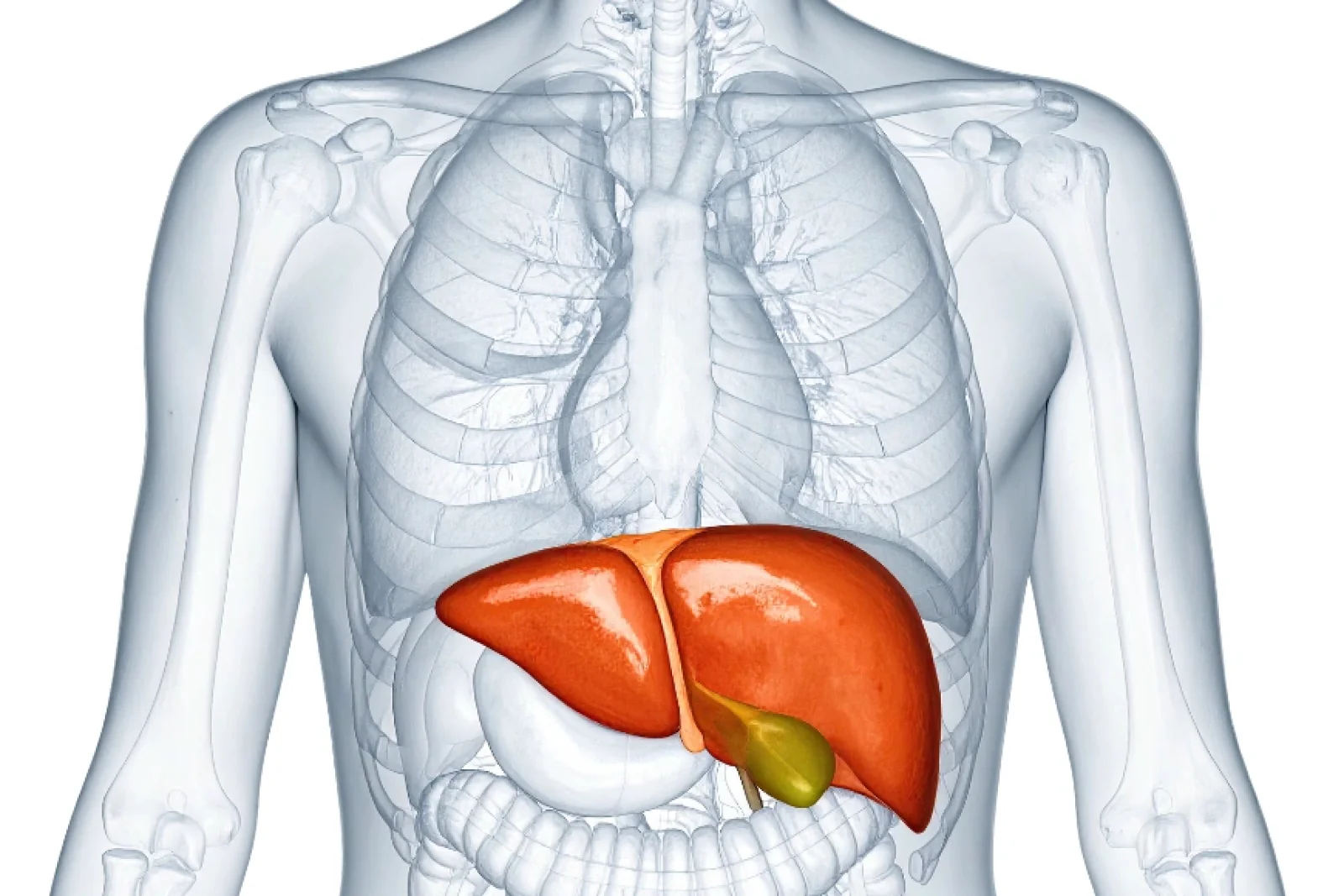 News Tv India Official 