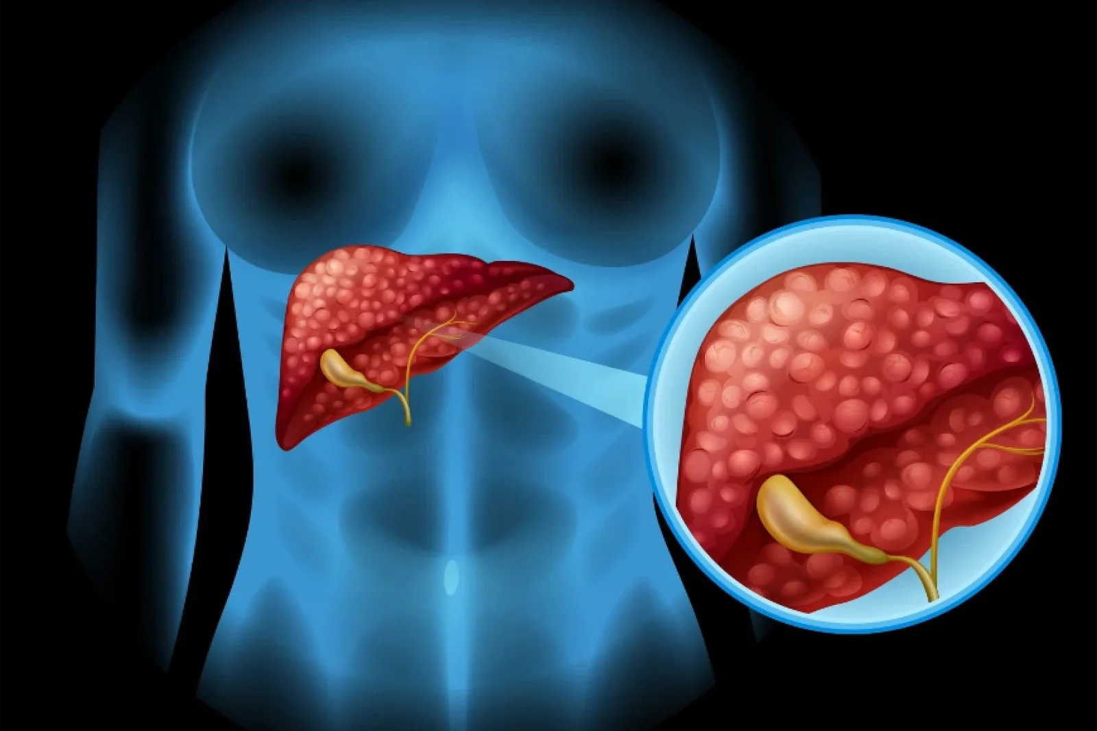 News Tv India Official 