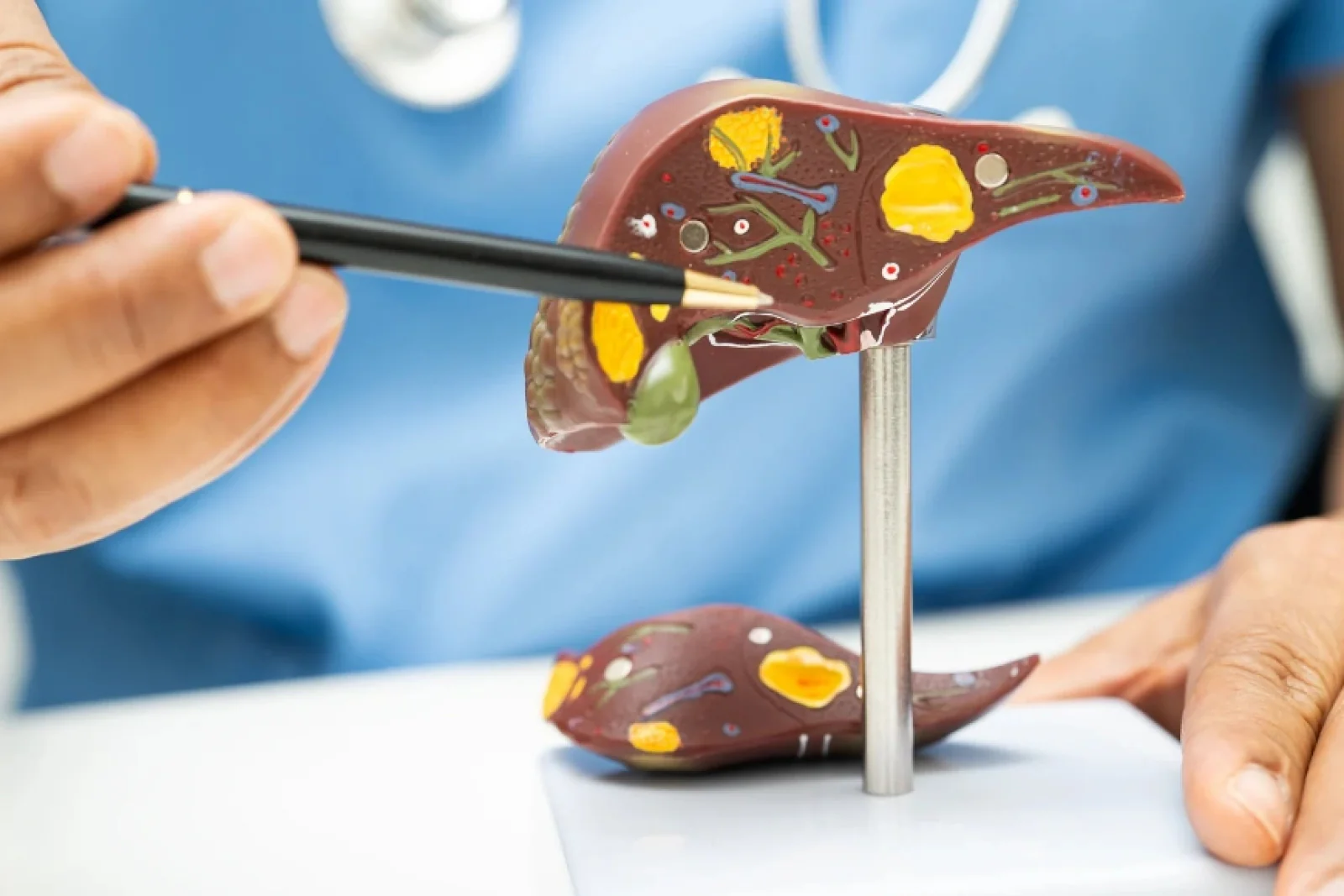 News Tv India Official 