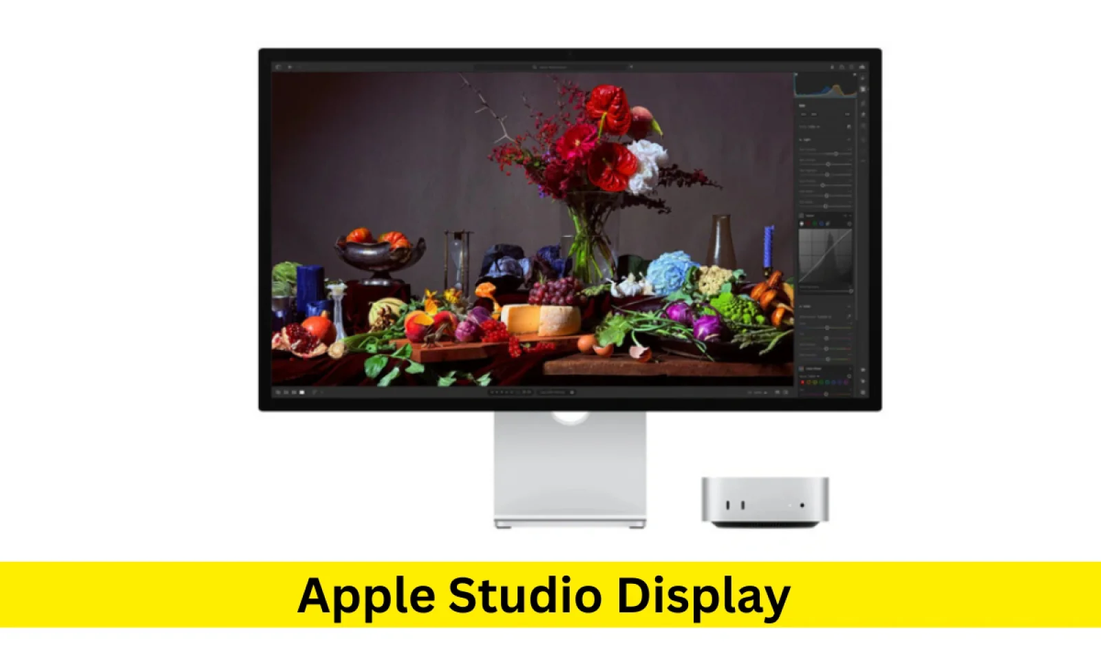 Apple Studio Display में मिलेगी कमाल की डिस्पले प्री ऑर्डर हुए शुरू