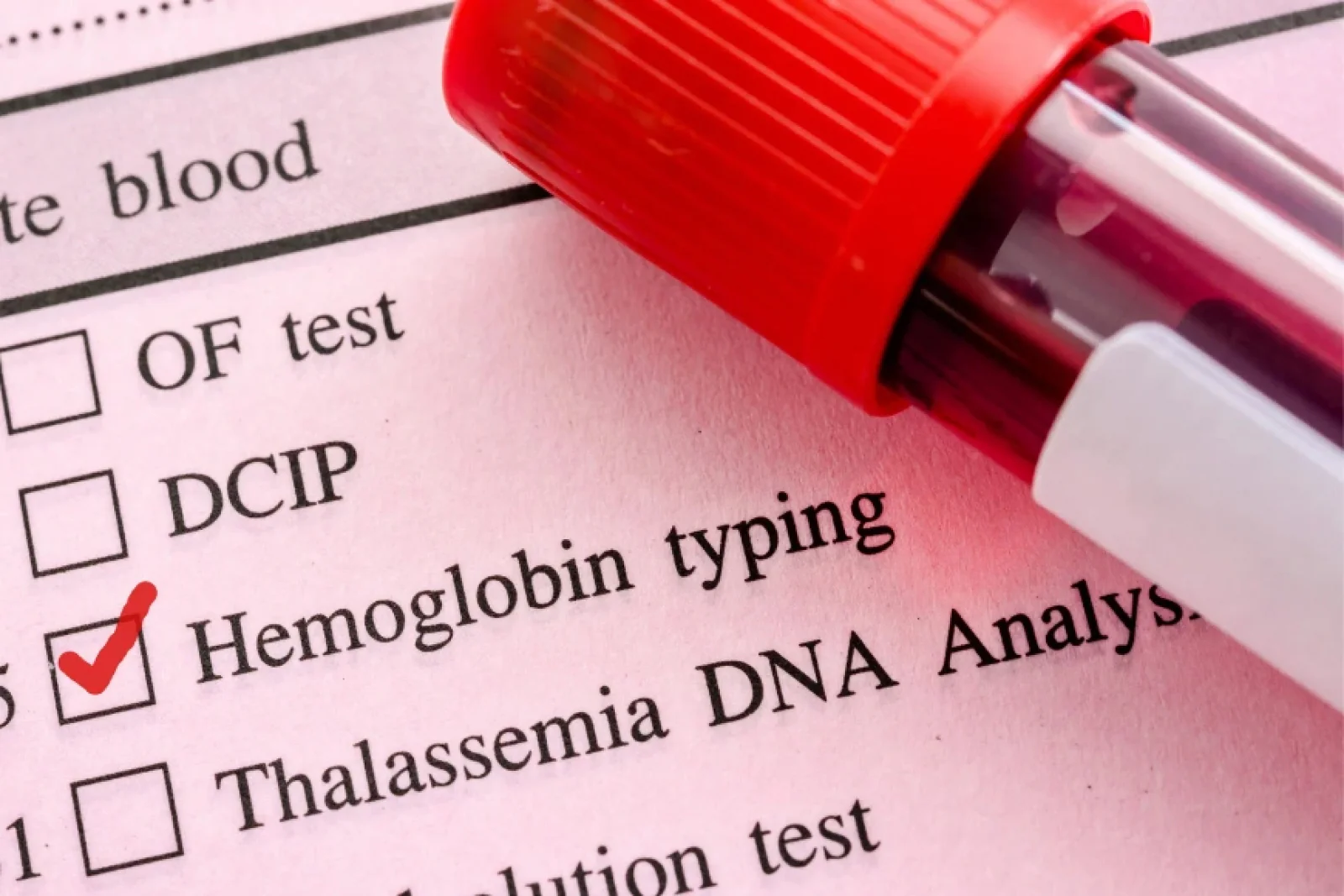 News Tv India Official 