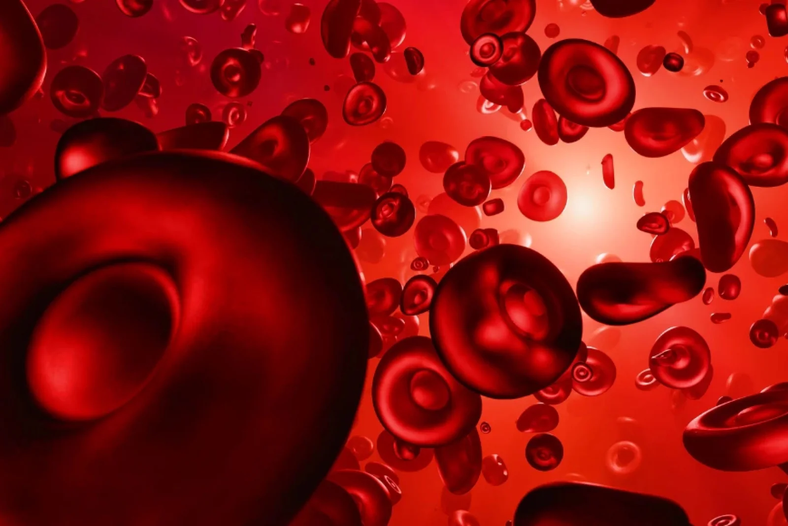 News Tv India Official 