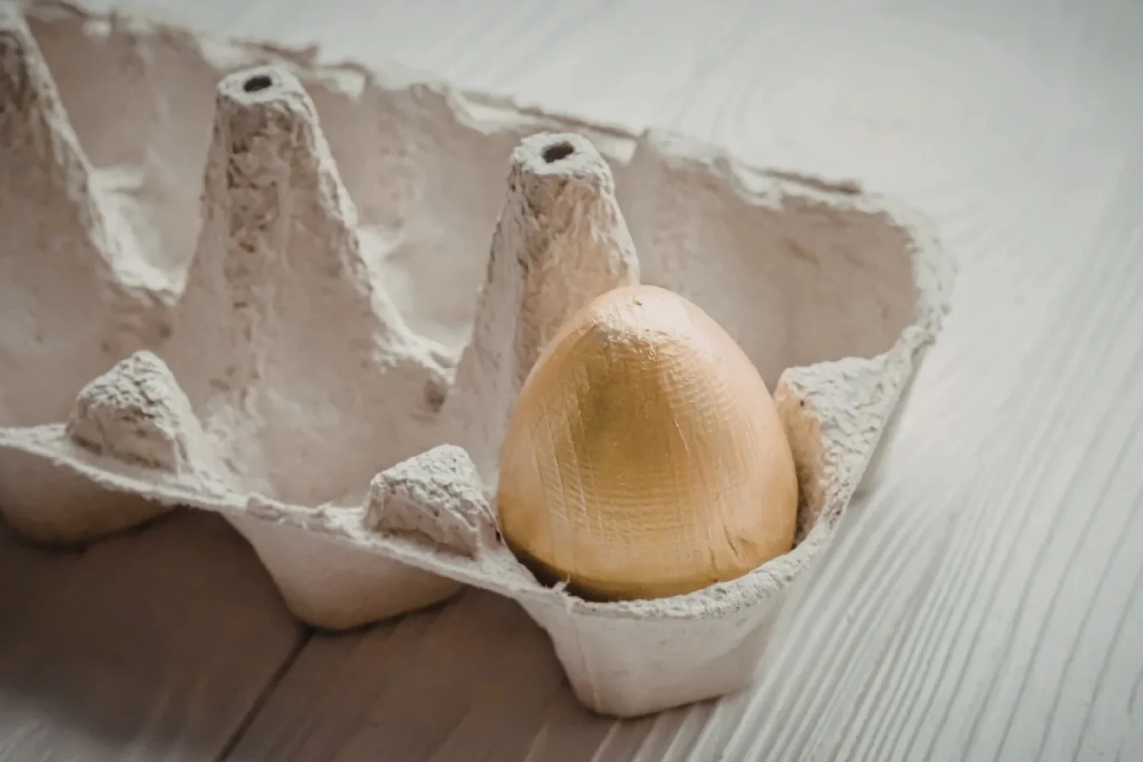 News Tv India Official 