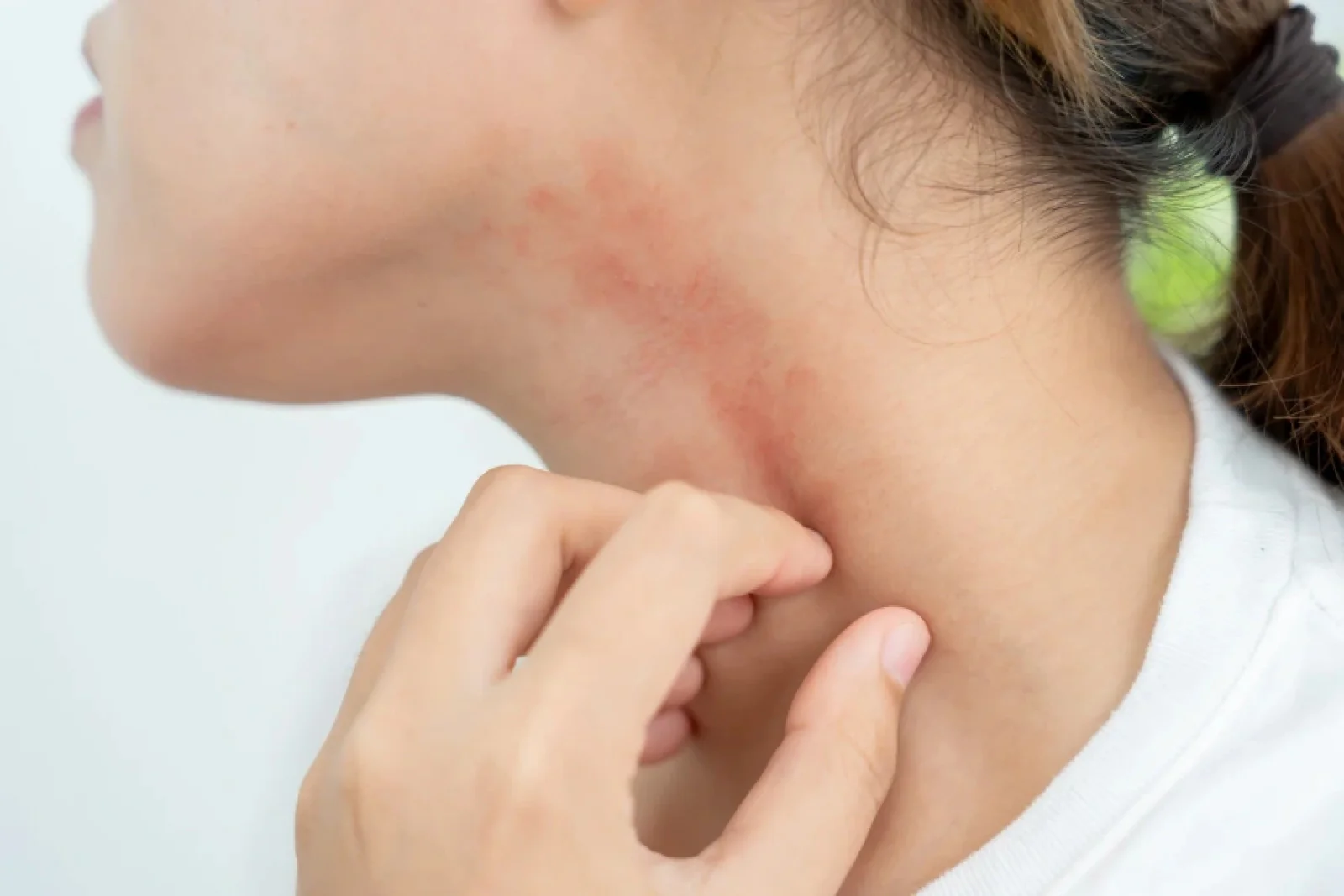 News Tv India Official 