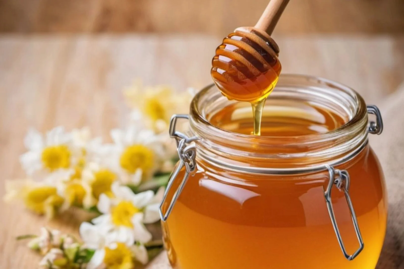 News Tv India Official 