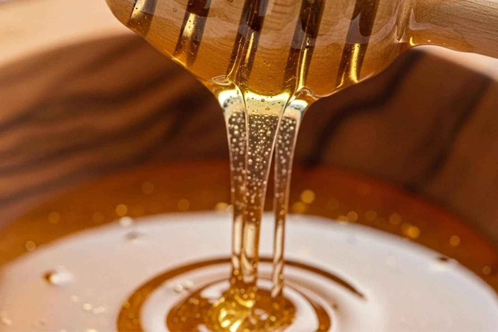 News Tv India Official 