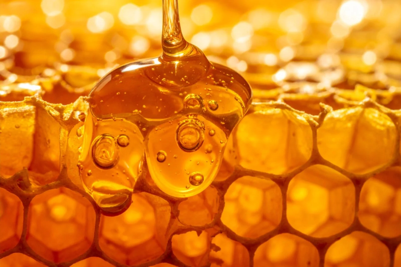 News Tv India Official 