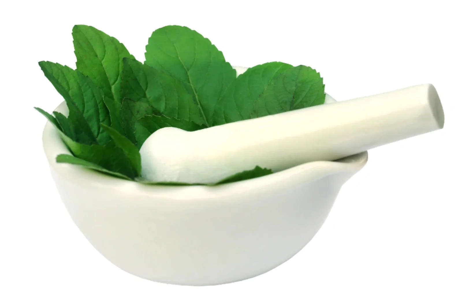 News Tv India Official 