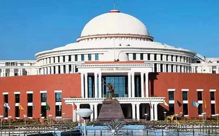 झारखंड विधानसभा: अफीम की अवैध खेती पर सदन में हंगामा; 2024-25 में 27,000 एकड़ से ज्यादा भूमि पर खेती का खुलासा