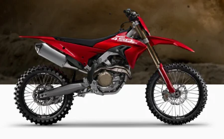 Ducati Desmo450 MX रेसिंग डिजाइन के साथ हुई लॉन्च बुकिंग हुई शुरू